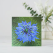 霧の中での愛 (スタンド正面)