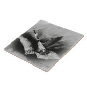 霧の中でガチョウ タイル (側面)