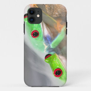 霧の中のアカメアマガエル、 アカメアマガエル2 iPhone 11 ケース