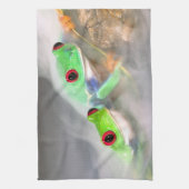 霧の中のアカメアマガエル、 アガリクニス 2 キッチンタオル (縦)
