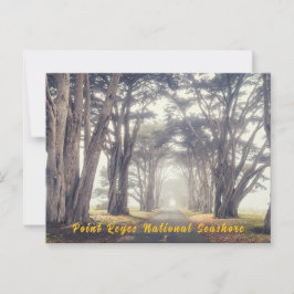 霧の中のサイプレストンネル ポストカード