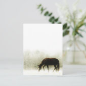 霧の中のチョコレートブラウン馬 ポストカード (スタンド正面)