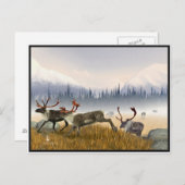 霧の中のハンター(カリボウ) ポストカード (正面/裏面)