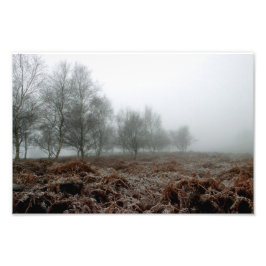 霧の中の木々 フォトプリント           