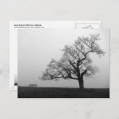 霧の中の木とベンチ ポストカード (正面/裏面)