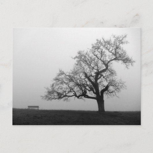 霧の中の木とベンチ ポストカード (正面)