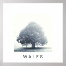 霧の中の木 ポスター