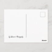 霧の中の木 ポストカード (裏面)