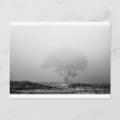 霧の中の木 ポストカード (正面)
