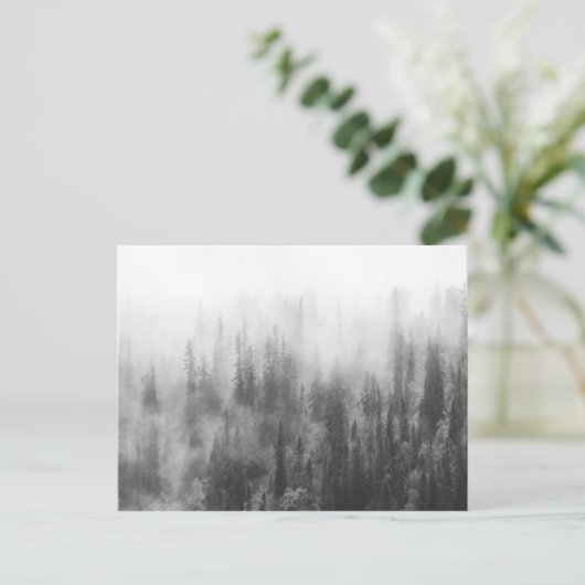 霧の中の森 ポストカード (スタンド正面)