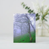 霧の中の樫 ポストカード (スタンド正面)