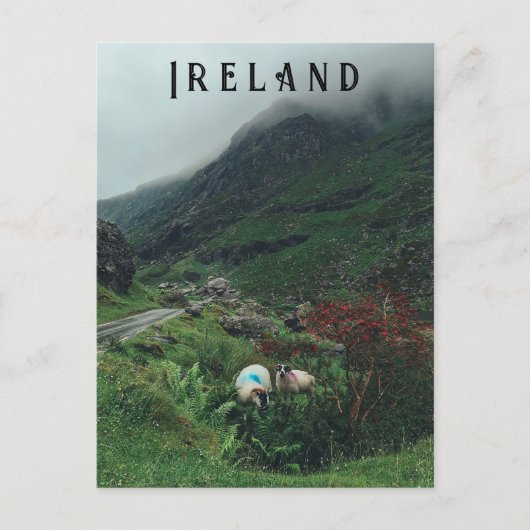 霧の中の羊 ポストカード (正面)