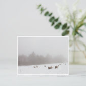 霧の中の羊 ポストカード (スタンド正面)