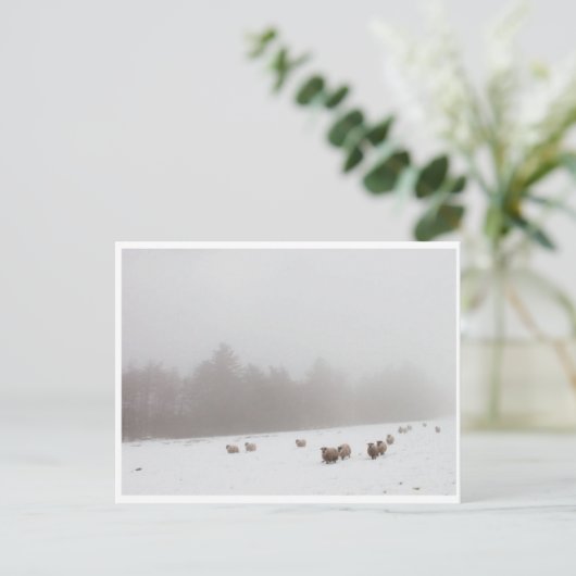 霧の中の羊 ポストカード (スタンド正面)