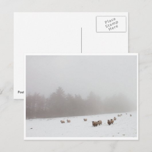 霧の中の羊 ポストカード (正面/裏面)