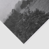 霧の中の美しい木と自然 薄葉紙 (詳細)