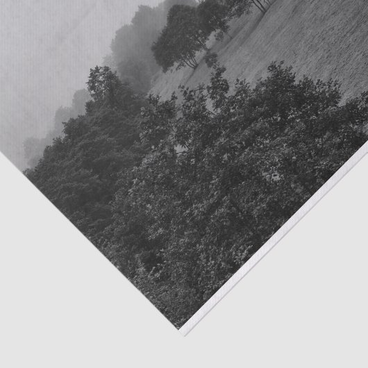 霧の中の美しい木と自然 薄葉紙 (詳細)