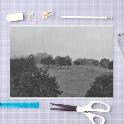 霧の中の美しい木と自然 薄葉紙 (クラフト)