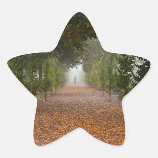 霧の中の路地 星シール (正面)