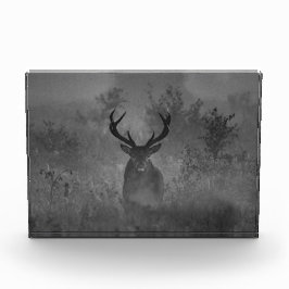 霧の中の鹿 フォトブロック