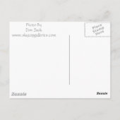 霧の中へ ポストカード (裏面)