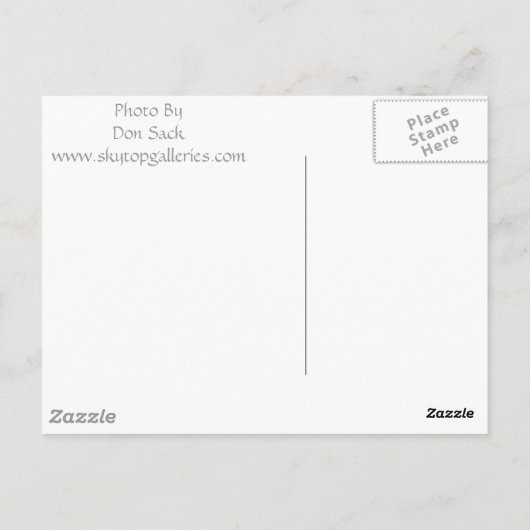 霧の中へ ポストカード (裏面)