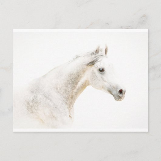 霧の中を ポストカード (正面)