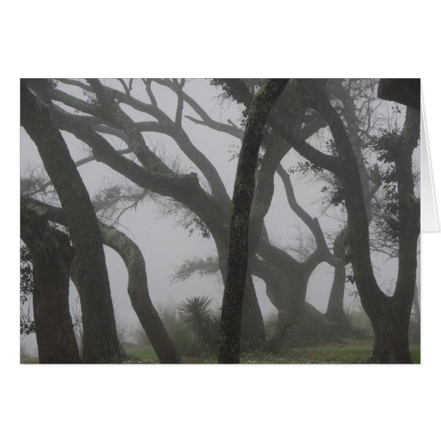 霧の中 (正面横)