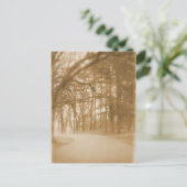 霧の中 – ポストカード (スタンド正面)