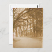 霧の中 – ポストカード (正面/裏面)