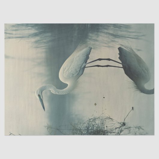 霧の切り離しの中の緑 薄葉紙 (正面)