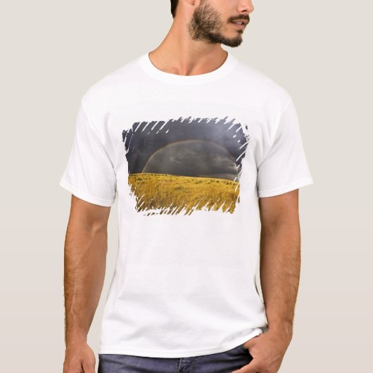 霧の午後に現れた虹 Tシャツ (正面)