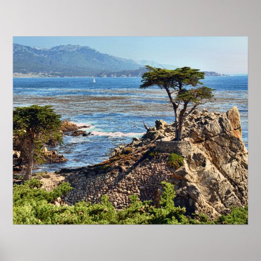 霧の名勝カリフォルニアセントラルコースト ポスター (正面)