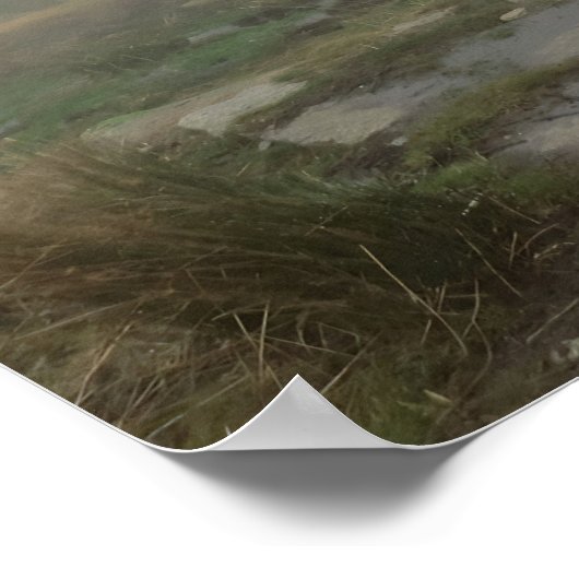 霧の噴水 ポスター (角)