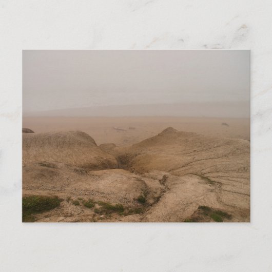 霧の多いビーチ ポストカード (正面)