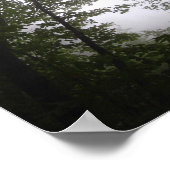 霧の多い太平洋のドッグウッズ林 ポスター (角)