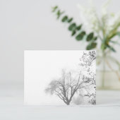 霧の多い朝木 ポストカード (スタンド正面)