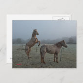 霧の多い朝 ポストカード (正面/裏面)