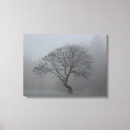 霧の多い木 キャンバスプリント