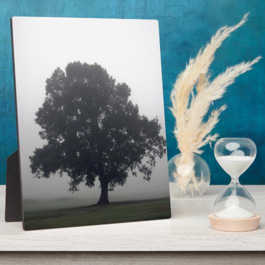 霧の多い木 フォトプラーク (側面)