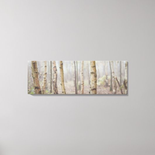 霧の多い森 キャンバスプリント (正面)