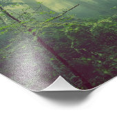 霧の多い森 フォトプリント            (角)