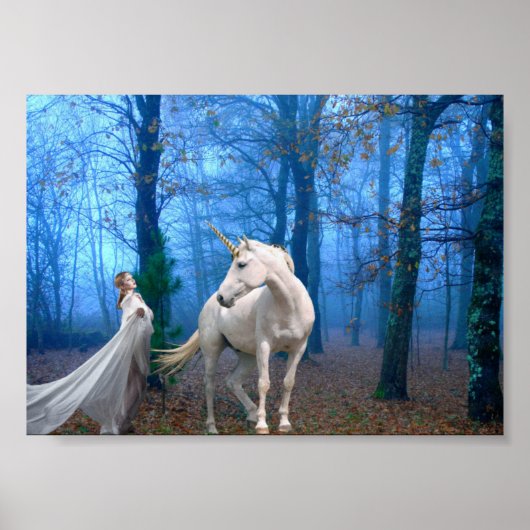 霧の多い森 ポスター (正面)