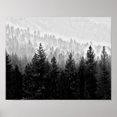 霧の多い森 ポスター (正面)