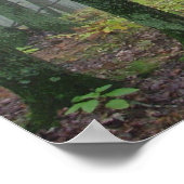 霧の多い森 ポスター (角)