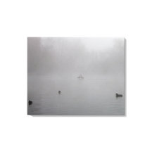 霧の多い湖の上のアヒル