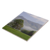 霧の多い牧草地と豊かな山、ケードの入り江 タイル (側面)