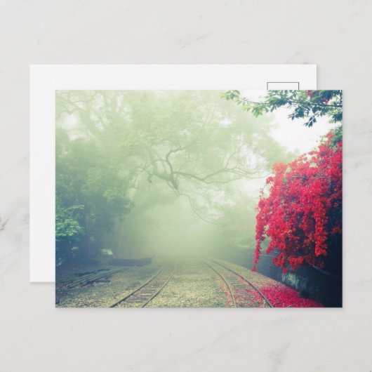 霧の多い鉄道跡の風光明媚な写真 シーズンポストカード (正面/裏面)