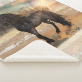 霧の強いフリシア朝 シェルパブランケット (3/4)