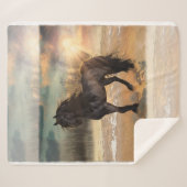 霧の強いフリシア朝 シェルパブランケット (正面(横))